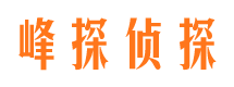 新安市婚外情调查